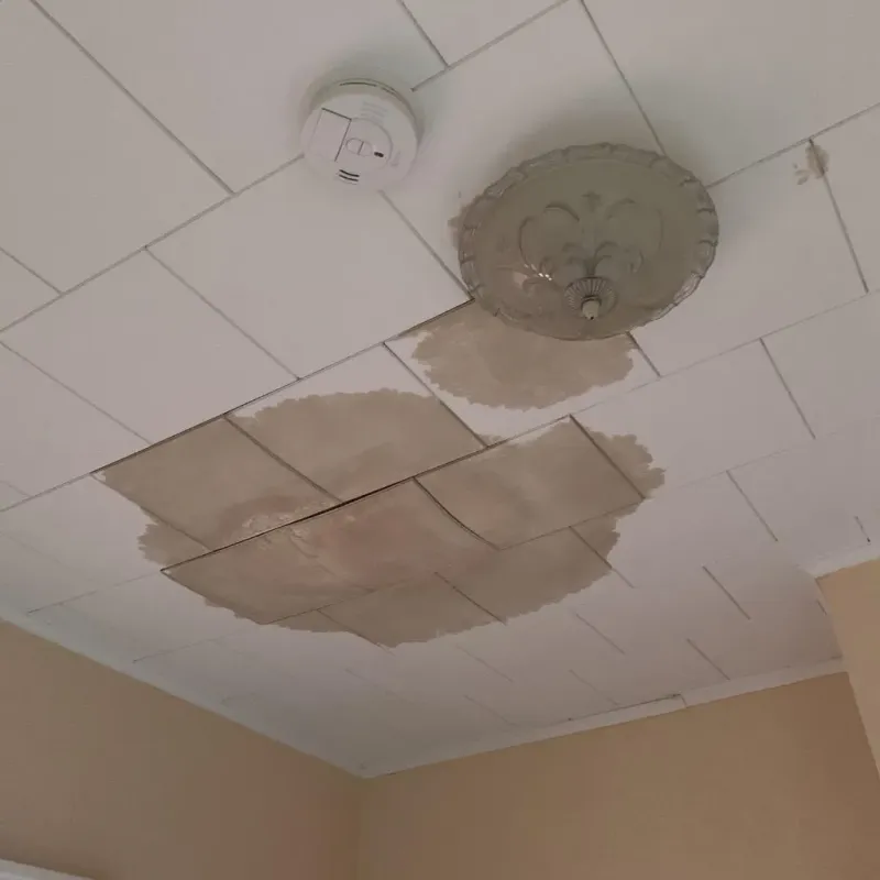 Ceiling Water Damage Repair in Guthrie, OK