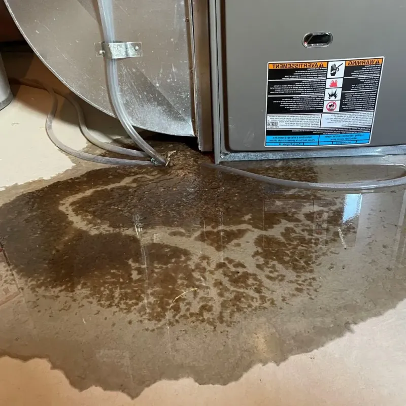 Pipe Burst and Leak Restoration in Guthrie, OK